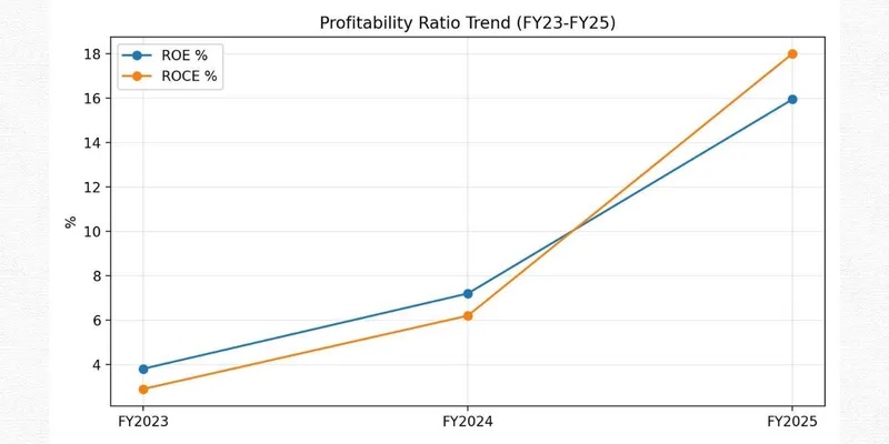 VTM LIMITED FINANCIAL AND BUSINESS ANALYSIS REPORT